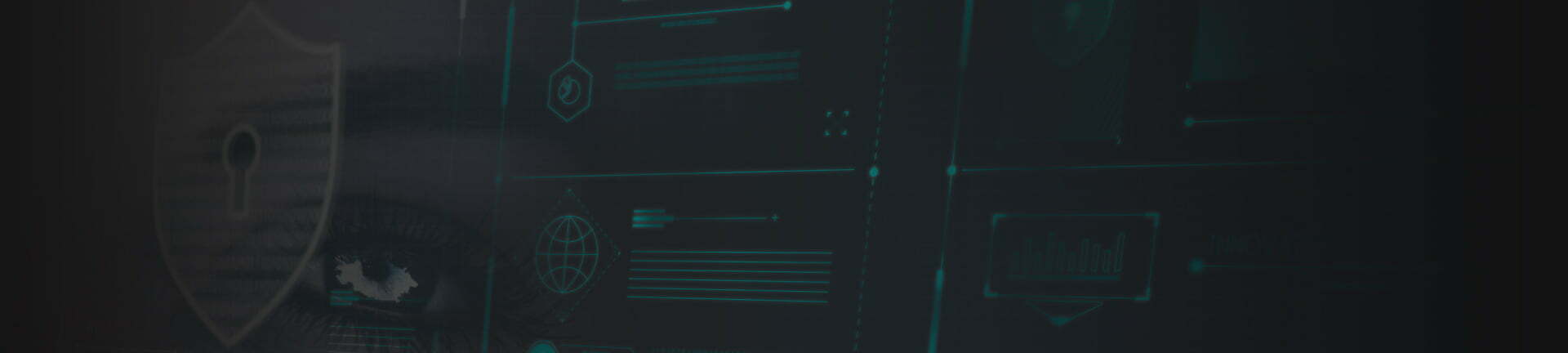 banner-politicas